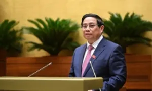 Thủ tướng: GDP bình quân đầu người năm 2025 dự kiến đạt 4.900 USD